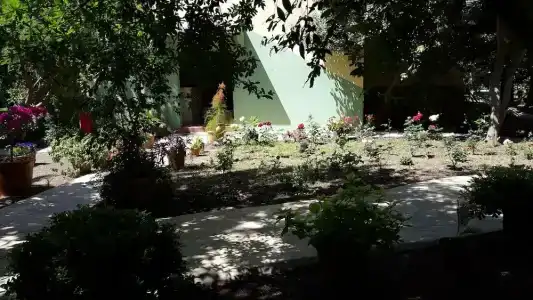 Ayris Çıralı - 38