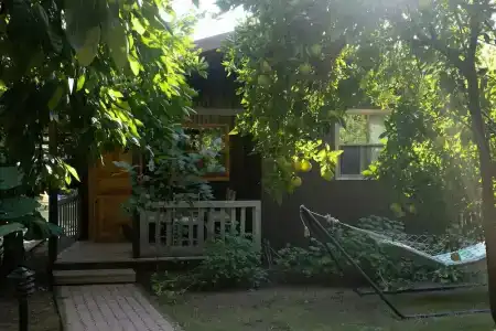 Caretta Caretta Pension - 40