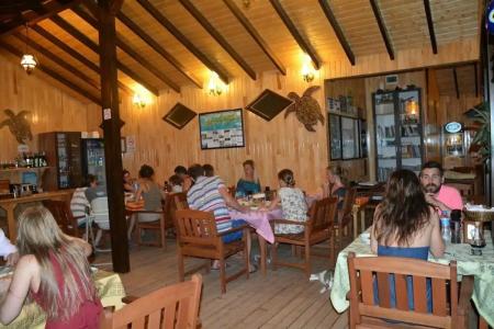 Caretta Caretta Pension - 26