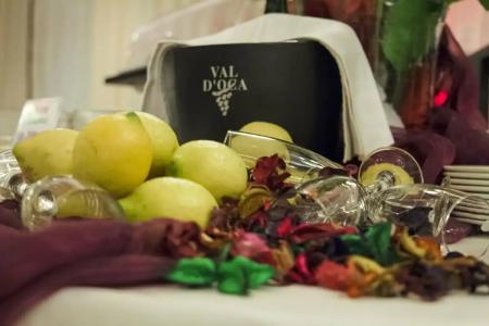 Panama Majestic - 61