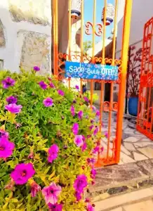 Bodrum Sade Pension - 24