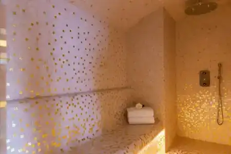 du Collectionneur - 66