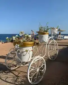 Monte Carlo Sharm Resort & Spa - 66