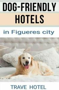 Hospedium Restaurant Travé - 7