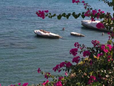 Stratos ArtDeco House - 40