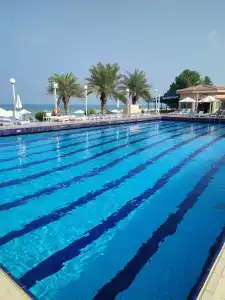 Sharjah Carlton - 65