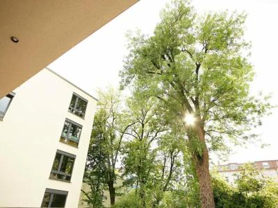 Schwabinger Wahrheit by Geisel - 18