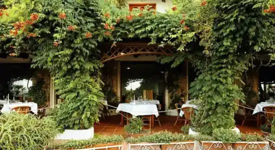 Approdo Resort Thalasso Spa - 40