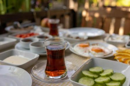 Caretta Caretta Pension - 91