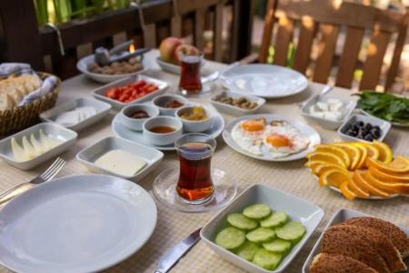 Caretta Caretta Pension - 3