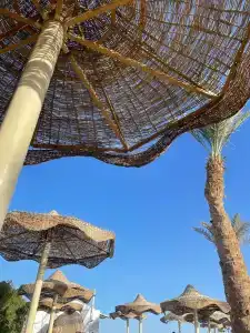 Cataract Resort Naama Bay - 4
