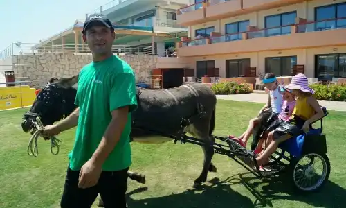 Kiani Beach Resort Family All Inclusive - 8