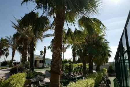 Gran Palas - Spa incluido - 50