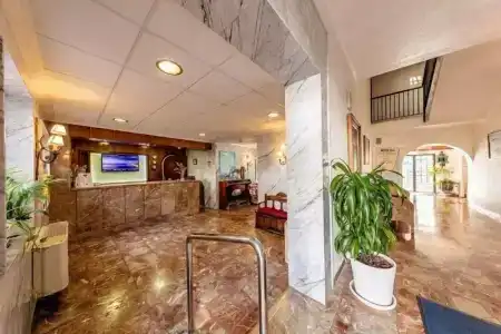 Masa International - 3