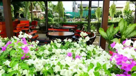 Romeo Palace Pattaya - 15