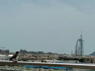 Metropolitan Dubai - 31
