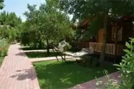 Caretta Caretta Pension - 8