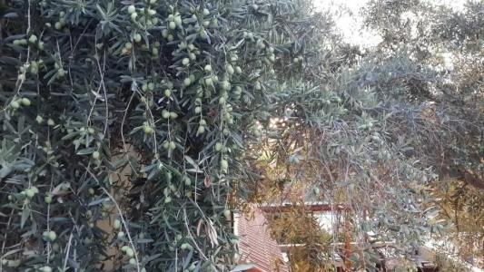 St. Nicholas Pension - 11