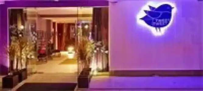 The Weekend Pattaya (Tweet Tweet Nest Pattaya) - 10