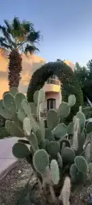 Lotus Bay Resort - 38