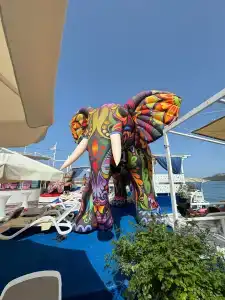 Orange County Kemer - 92