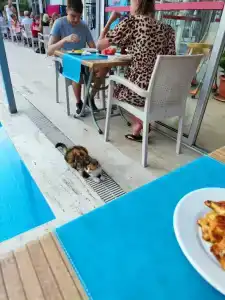 Saygılı Beach - 81