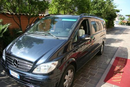 Euro House Inn Airport - 80