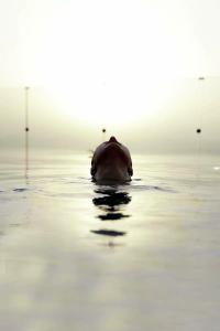 Hilton Dead Sea Resort & Spa - 32