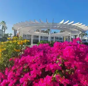 Monte Carlo Sharm Resort & Spa - 42