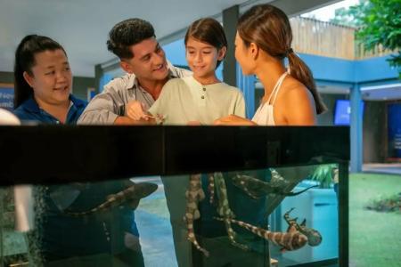 JW Marriott Khao Lak Resort and Spa - 68
