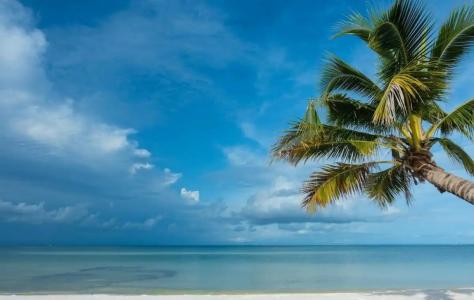 The Secret Garden Koh Rong - 49