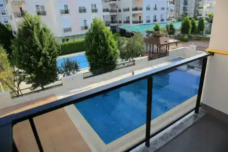 Golden World Suite - 2