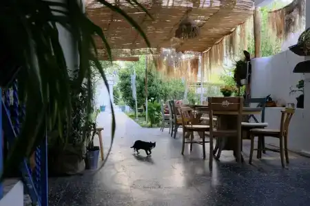 L'onda Oda Bodrum - 27