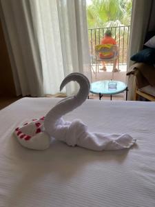 Desert Rose Resort - 57