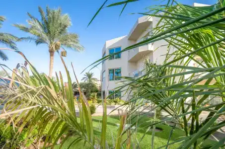 Seagull Beach Resort - Families and Couples Only - 35