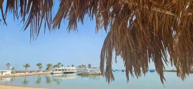Meraki Resort - Adults Only - 99
