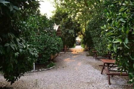 Olympos Yakamoz Pansiyon - 17