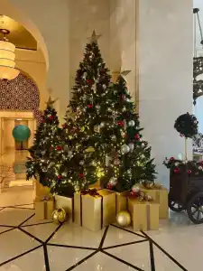 Four Seasons Resort Dubai at Jumeirah Beach - 13