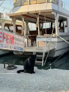 Liberty Fabay - Ultra All Inclusive - 16