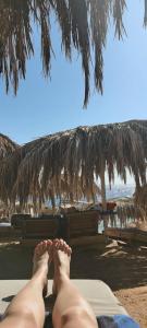 Amphoras Beach - 85