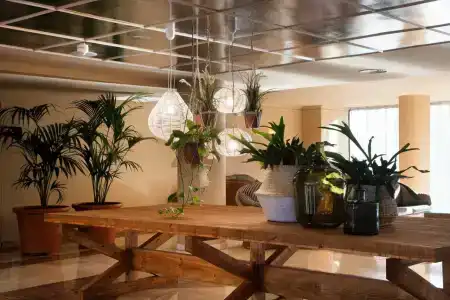 Luna Club Yoga & Spa 4Sup - 84