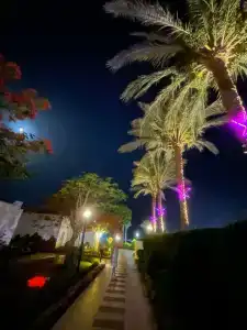 Gafy Resort Aqua Park - 66