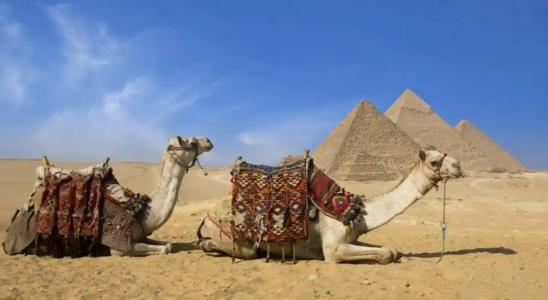 The Nile Ritz-Carlton, Cairo - 2