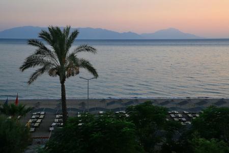 Club Cactus Paradise - 19