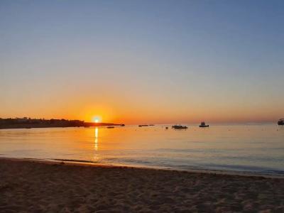 Fayrouz Resort - 5