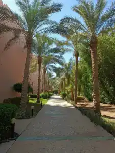 Rehana Sharm Resort - Aquapark & Spa - Couples and Family Only - 58