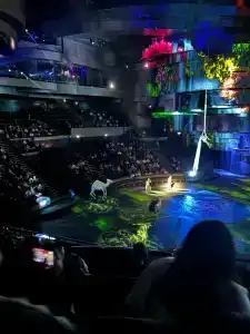 Coral Beach Resort Sharjah - 98