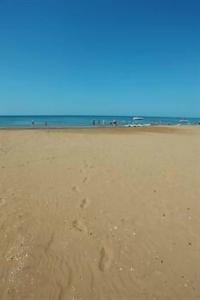 Royal Alhambra Palace - 65