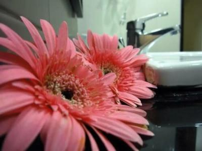 Navarat Heritage - 51