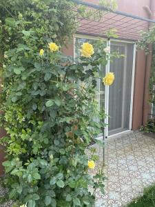 OFURO WORLD SPA - 28